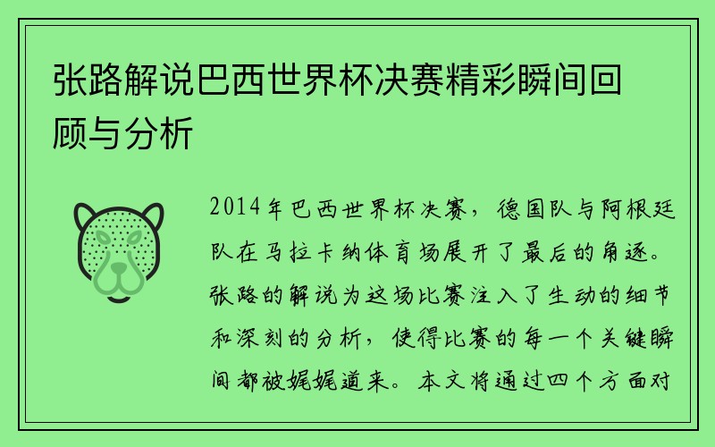 张路解说巴西世界杯决赛精彩瞬间回顾与分析