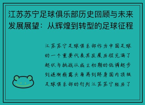 江苏苏宁足球俱乐部历史回顾与未来发展展望：从辉煌到转型的足球征程